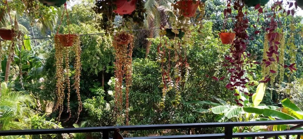 Jungle View One Bedroom Private Apartment Unawatuna Exterior photo