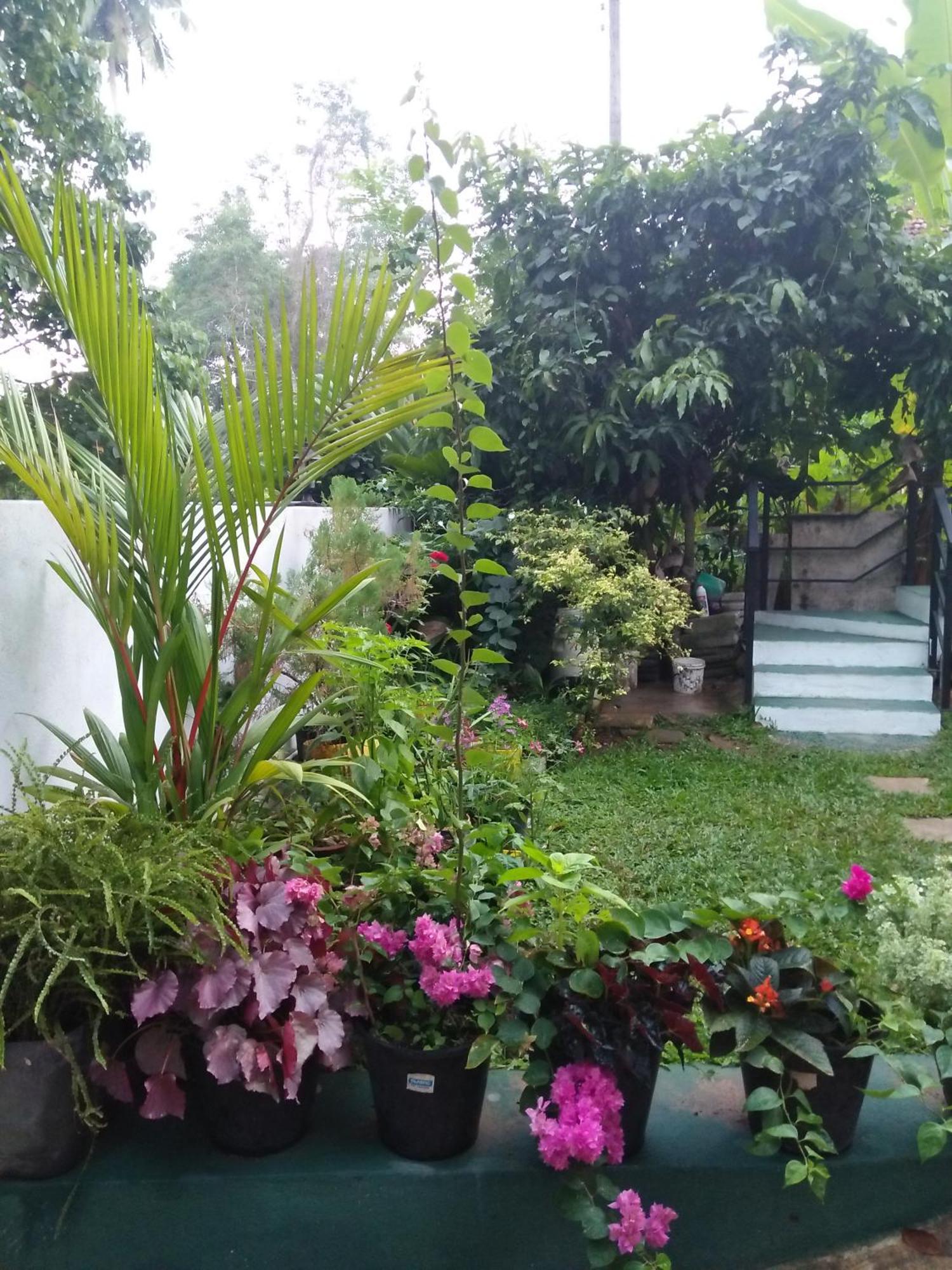 Jungle View One Bedroom Private Apartment Unawatuna Exterior photo